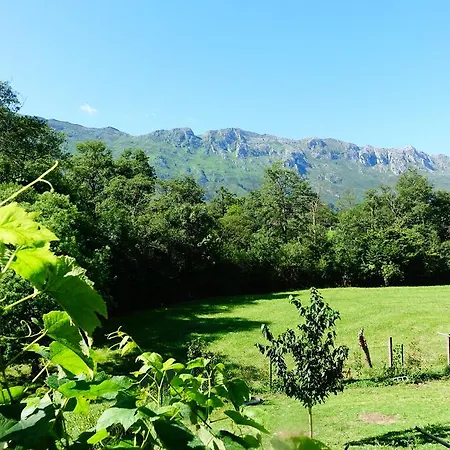 Prau Riu Hyundai-asturdai