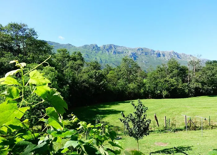 Prau Riu Hyundai-asturdai